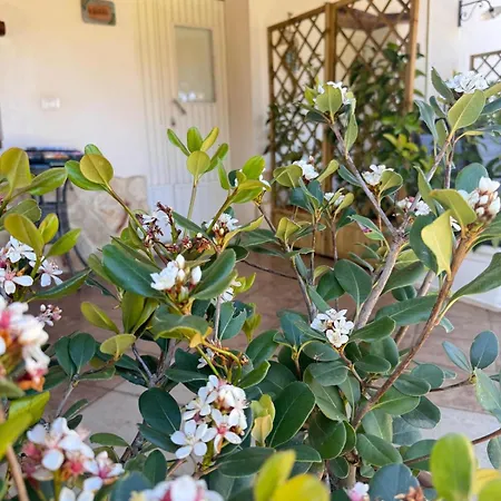 Maria Elena Charme Sul Mare Frühstückspension 4*