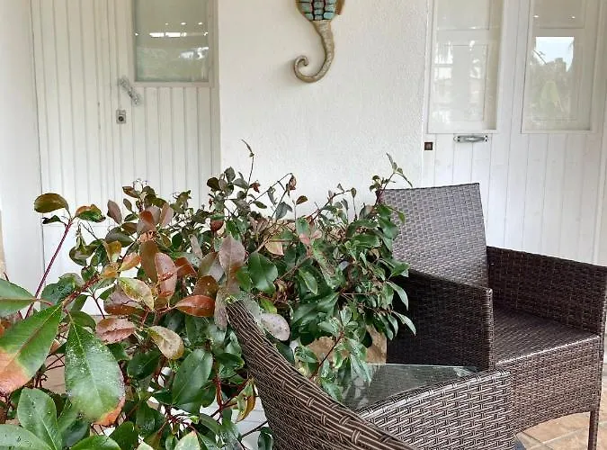 Maria Elena Charme Sul Mare Capo Vaticano