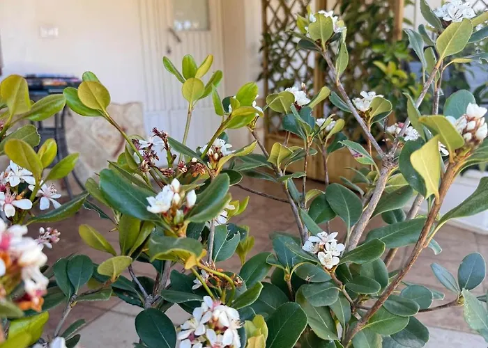 Maria Elena Charme Sul Mare Frühstückspension 4*